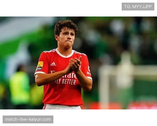 切尔西官方确认,球队中场恩佐·费尔南德斯将因伤错过剩余欧冠赛事 切尔西官方确认,球队中场恩佐·费尔南德斯将因伤错过剩余欧冠赛事